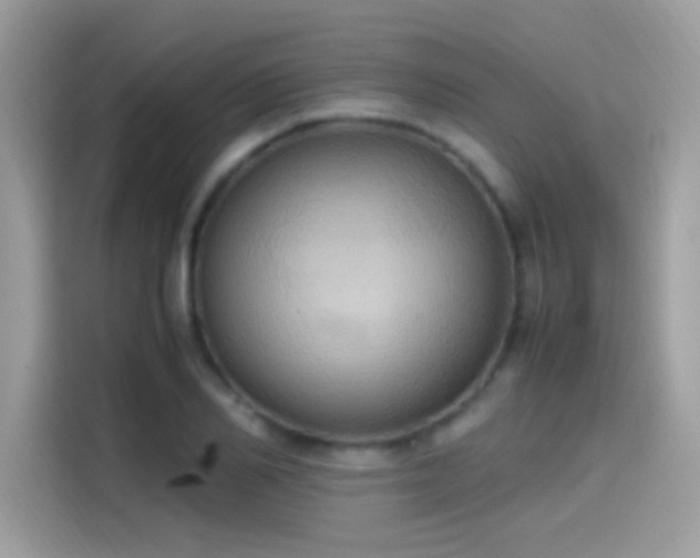 X0000115560982200911131623