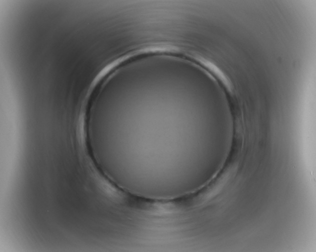 X0000115560983200911131623