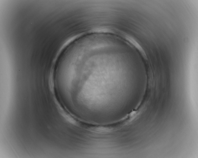 X0000115560984200911131623