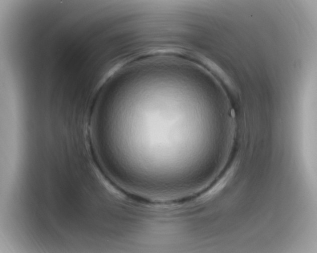 X0000115560985200911131623