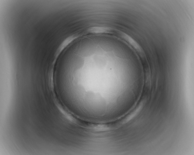 X0000115560986200911131623