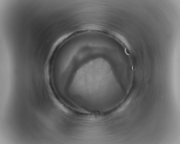 X0000115560987200911131623