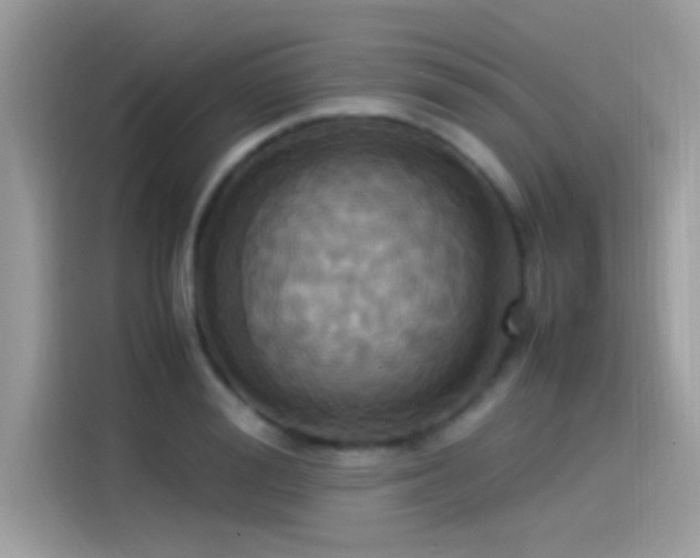 X0000115560988200911131623