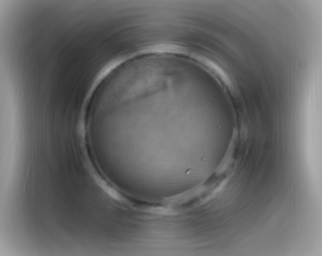 X0000115560990200911131623
