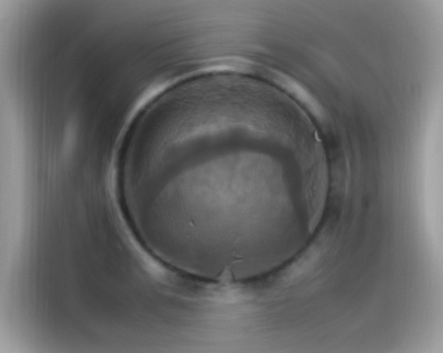 X0000115560991200911131623