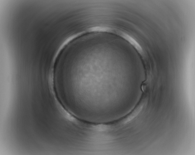 X0000115560992200911131623