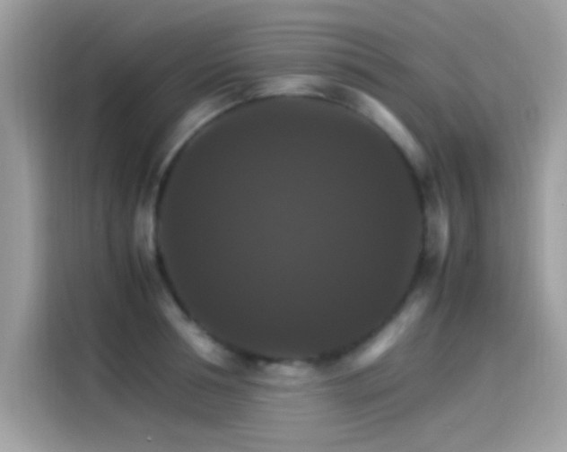 X0000115560994200911131623