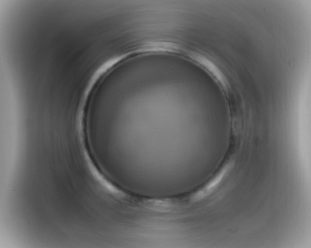 X0000115560995200911131623