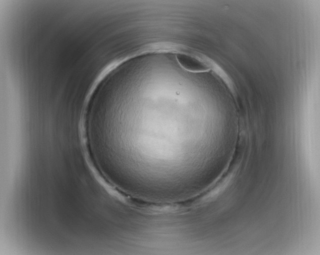 X0000115560997200911131623