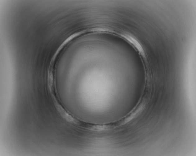 X0000115561000200911131623