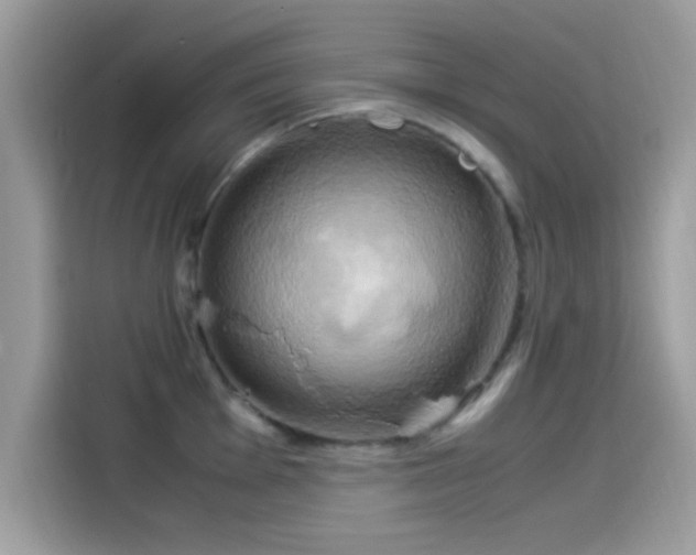 X0000115561001200911131623