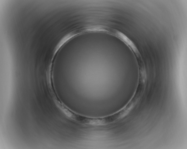 X0000115561002200911131623