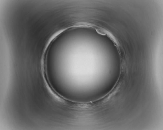 X0000115561003200911131623