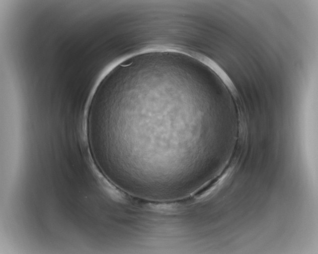 X0000115561004200911131623