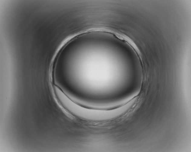 X0000115561005200911131623