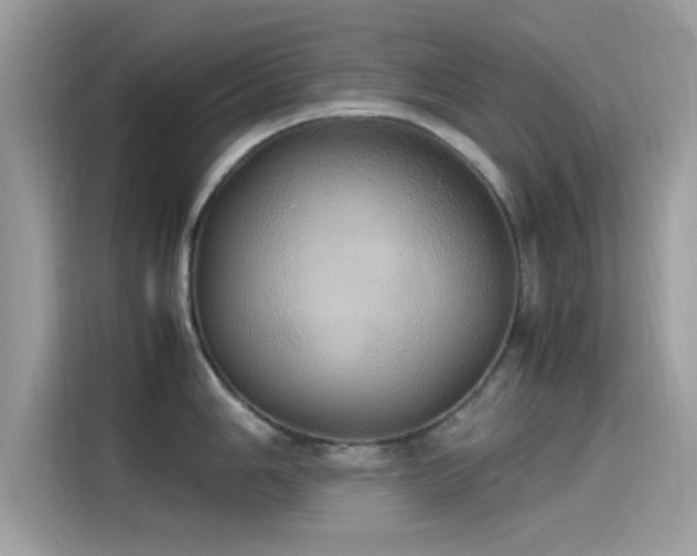 X0000115561006200911131623