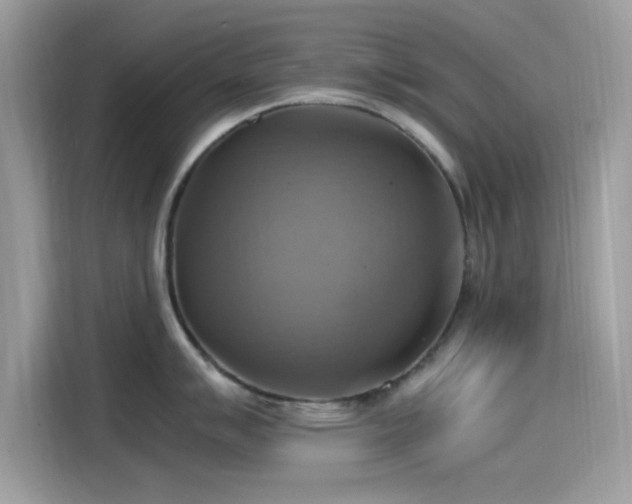 X0000115561007200911131623