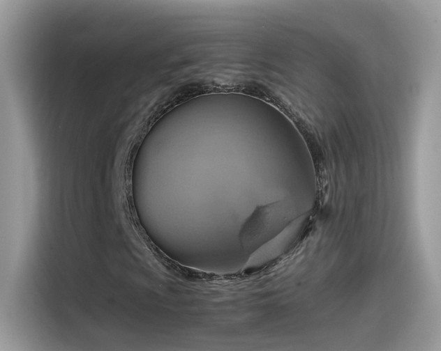 X0000115561009200911131622