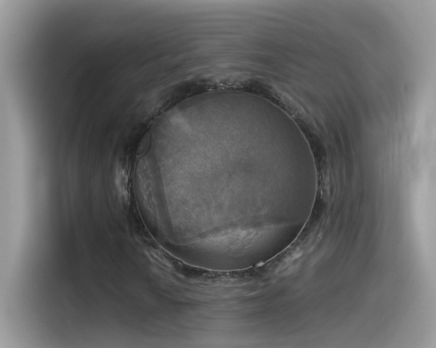 X0000115561010200911131622