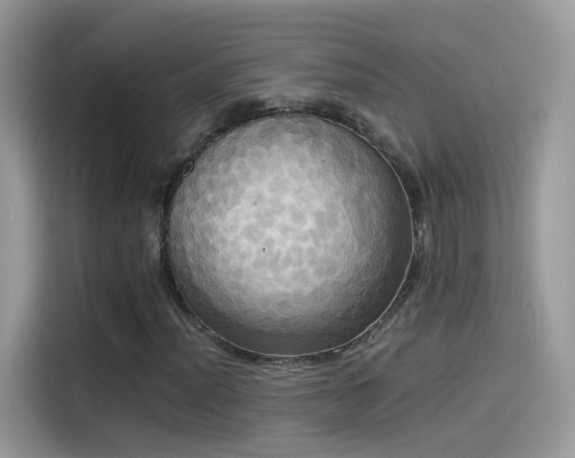 X0000115561012200911131622