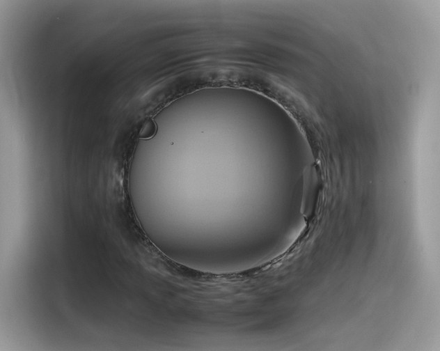 X0000115561013200911131622