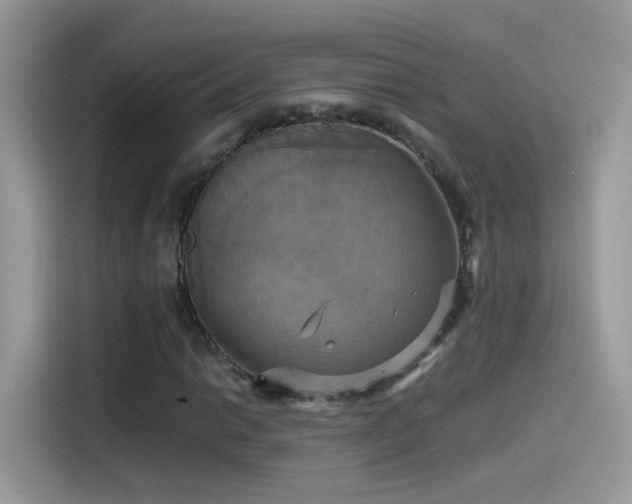 X0000115561014200911131622