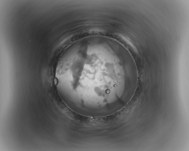 X0000115561015200911131622