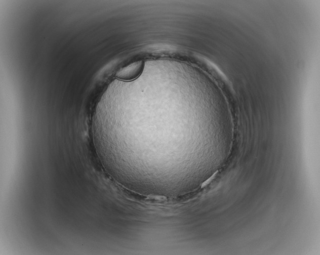 X0000115561016200911131622