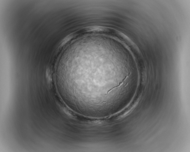 X0000115561017200911131622