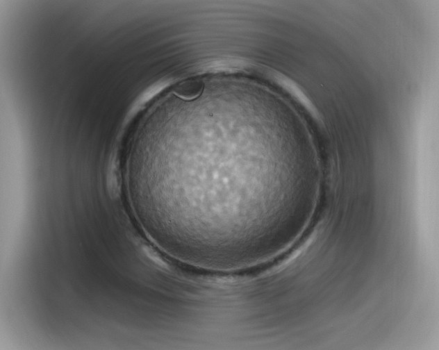 X0000115561018200911131622