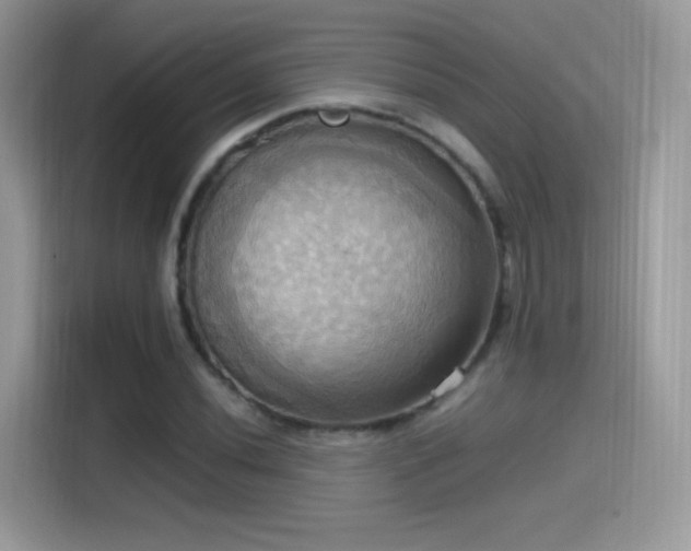 X0000115561020200911131622