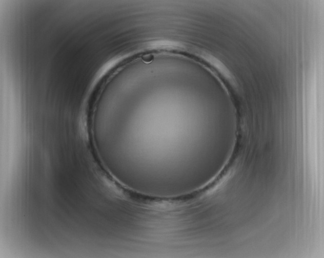 X0000115561022200911131622