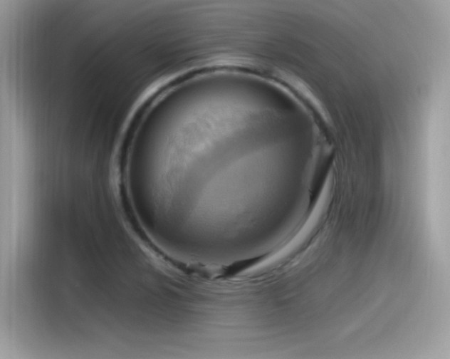 X0000115561024200911131622