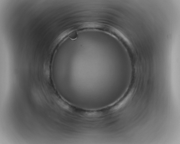 X0000115561025200911131622