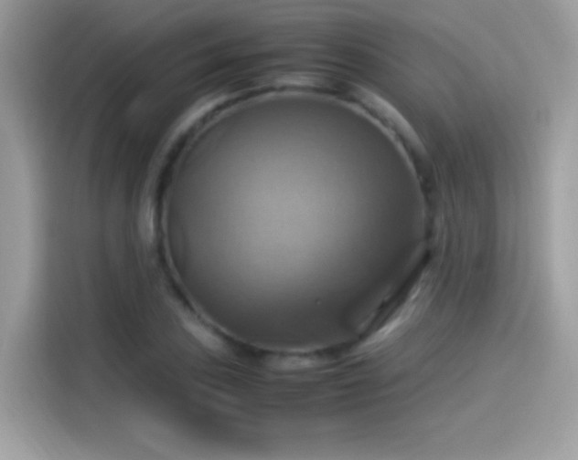 X0000115561027200911131622