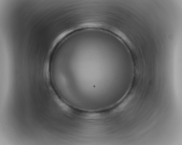 X0000115561030200911131623