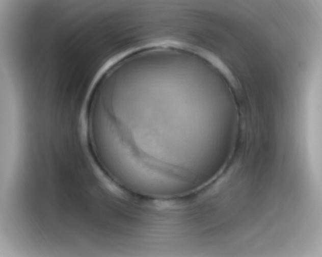 X0000115561032200911131623