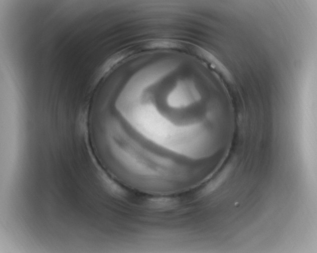 X0000115561033200911131623