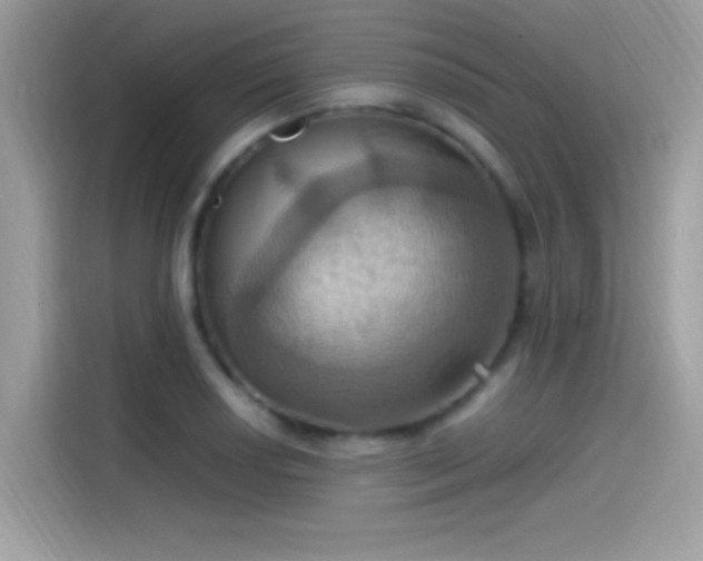 X0000115561034200911131623