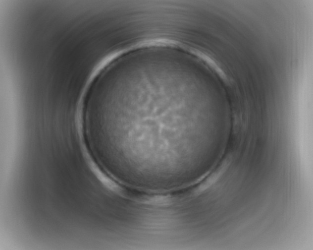 X0000115561038200911131623