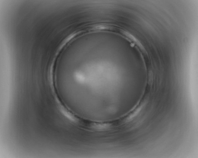 X0000115561039200911131623