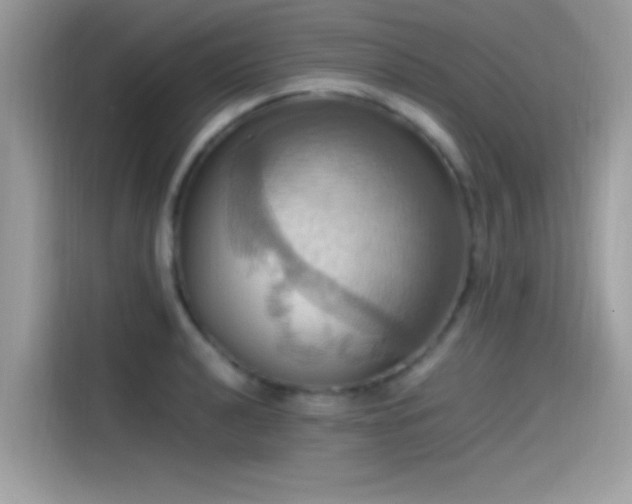 X0000115561040200911131623