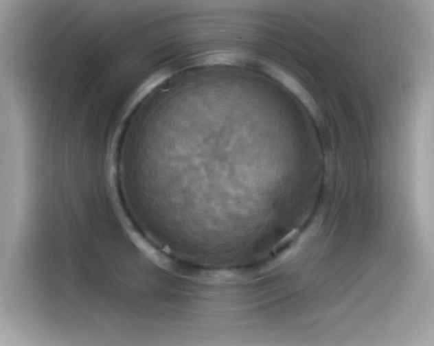 X0000115561042200911131623