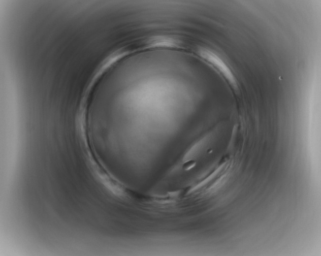 X0000115561043200911131623