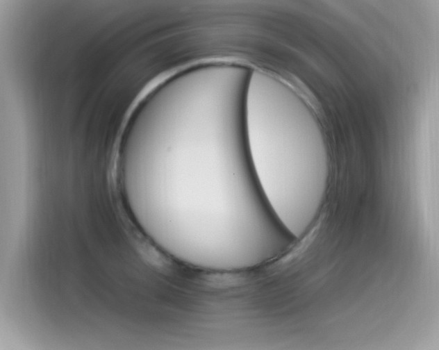 X0000115561044200911131623