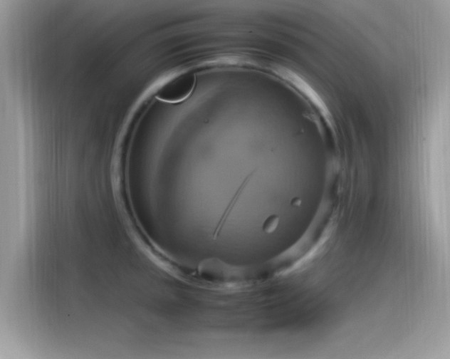 X0000115561045200911131623