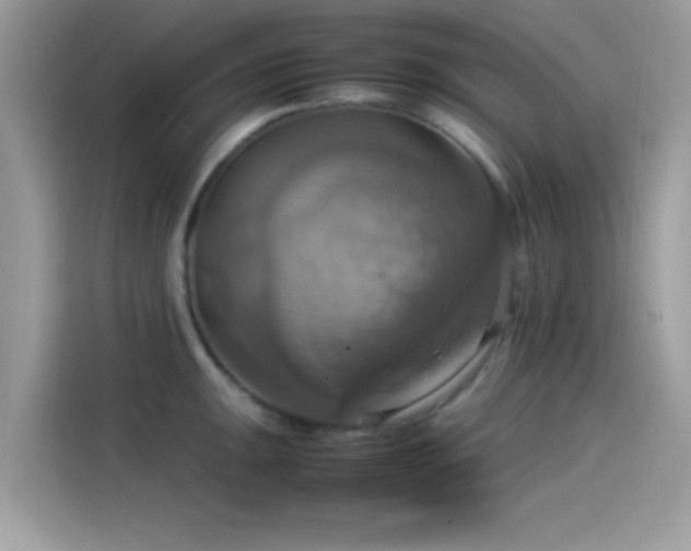 X0000115561047200911131623