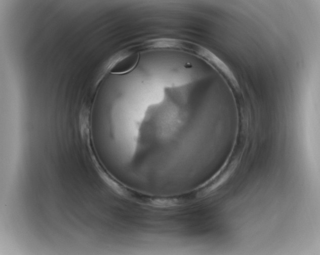 X0000115561049200911131623