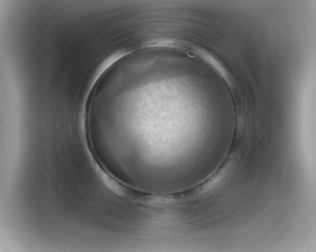 X0000115561050200911131623