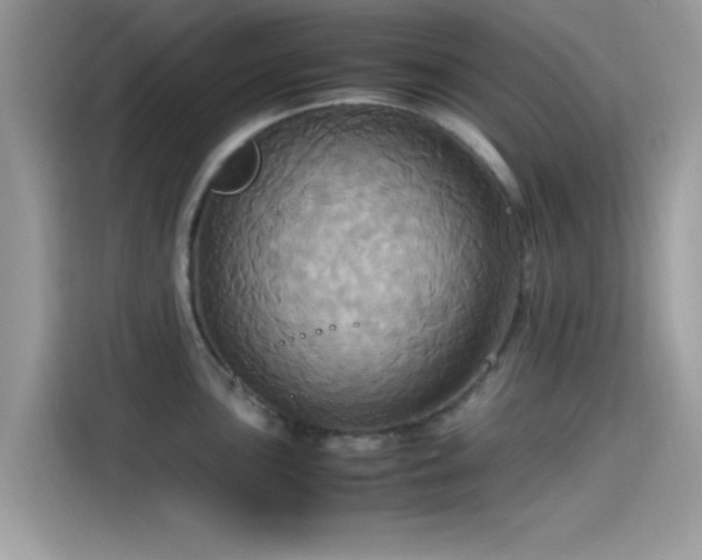 X0000115561051200911131623
